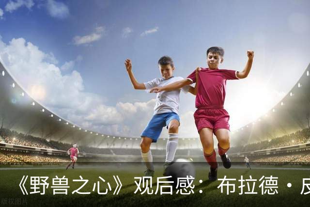 《野兽之心》观后感：布拉德·皮特，你真的让我哭惨了