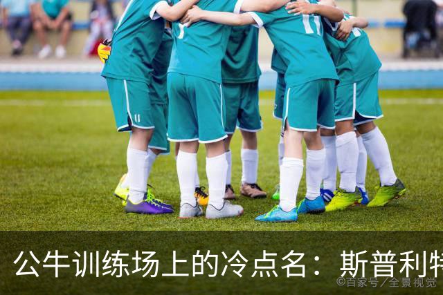 公牛训练场上的冷点名：斯普利特随机抽问太阳战术