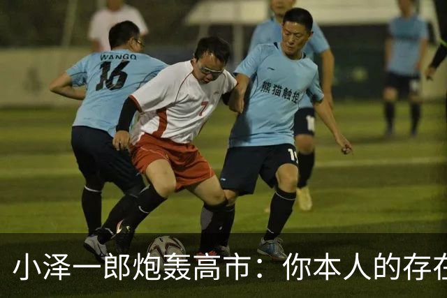小泽一郎炮轰高市：你本人的存在，就是日本外交的阻碍，字字扎心