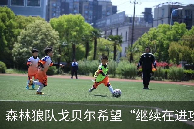 森林狼队戈贝尔希望“继续在进攻端统治比赛”，但会以自己的方式