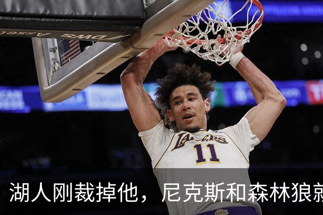 湖人刚裁掉他，尼克斯和森林狼就盯上了