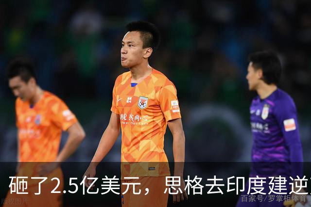砸了2.5亿美元，思格去印度建逆变器储能厂，要给自己留足后路与筹码
