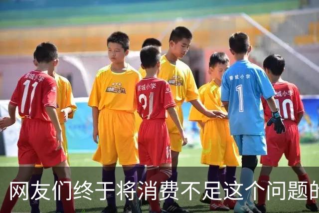 网友们终于将消费不足这个问题的真正原因给讲明白了