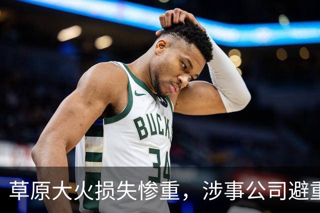 草原大火损失惨重，涉事公司避重就轻，蒙方怒了：有必要向日企索赔