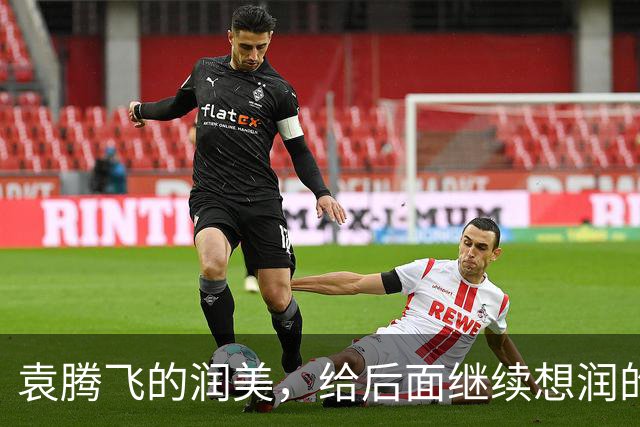 袁腾飞的润美，给后面继续想润的人敲响了警钟