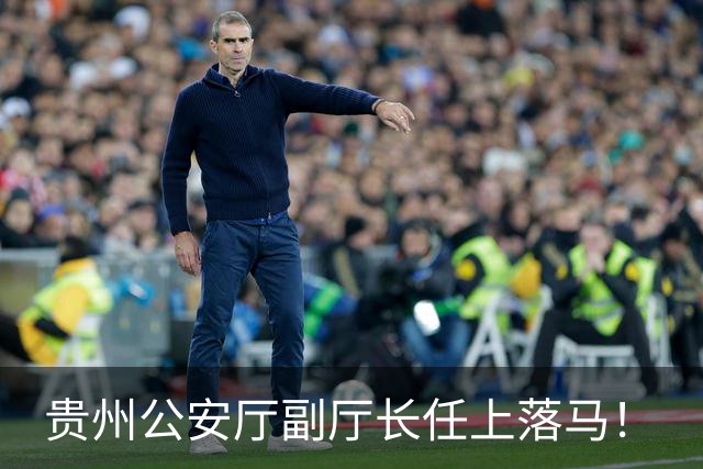 贵州公安厅副厅长任上落马！