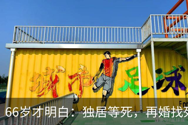 66岁才明白：独居等死，再婚找死，跟儿子住气死，最后选了这条路
