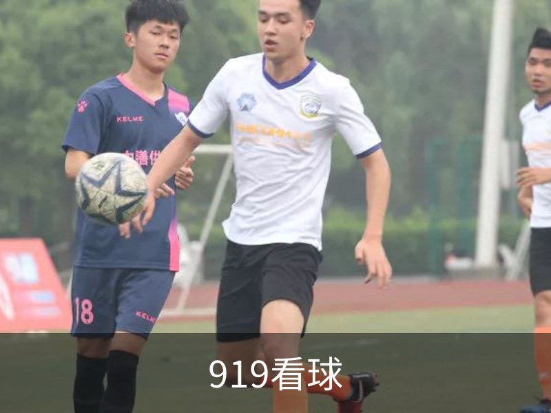 919看球概况