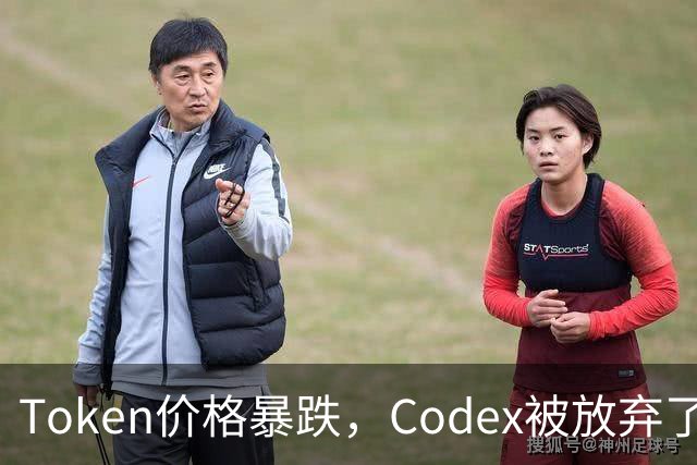 Token价格暴跌，Codex被放弃了